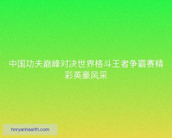 中国功夫巅峰对决世界格斗王者争霸赛精彩英豪风采